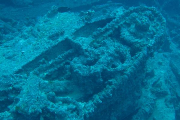 Scuba Diving on a Red Sea Yacht Charter
